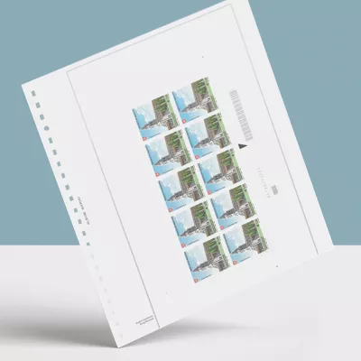 Fogli Coordinati King CK-26