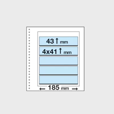 Fogli Coordinati King CK-23