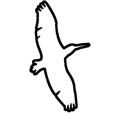 Stemma adesivo tema Uccelli