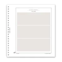 Fogli generici intestati